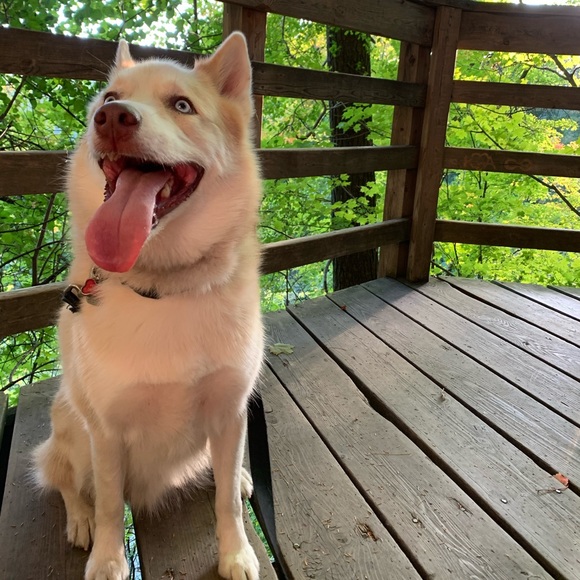 Meet your Posher, Emily - Picture 1 of 1